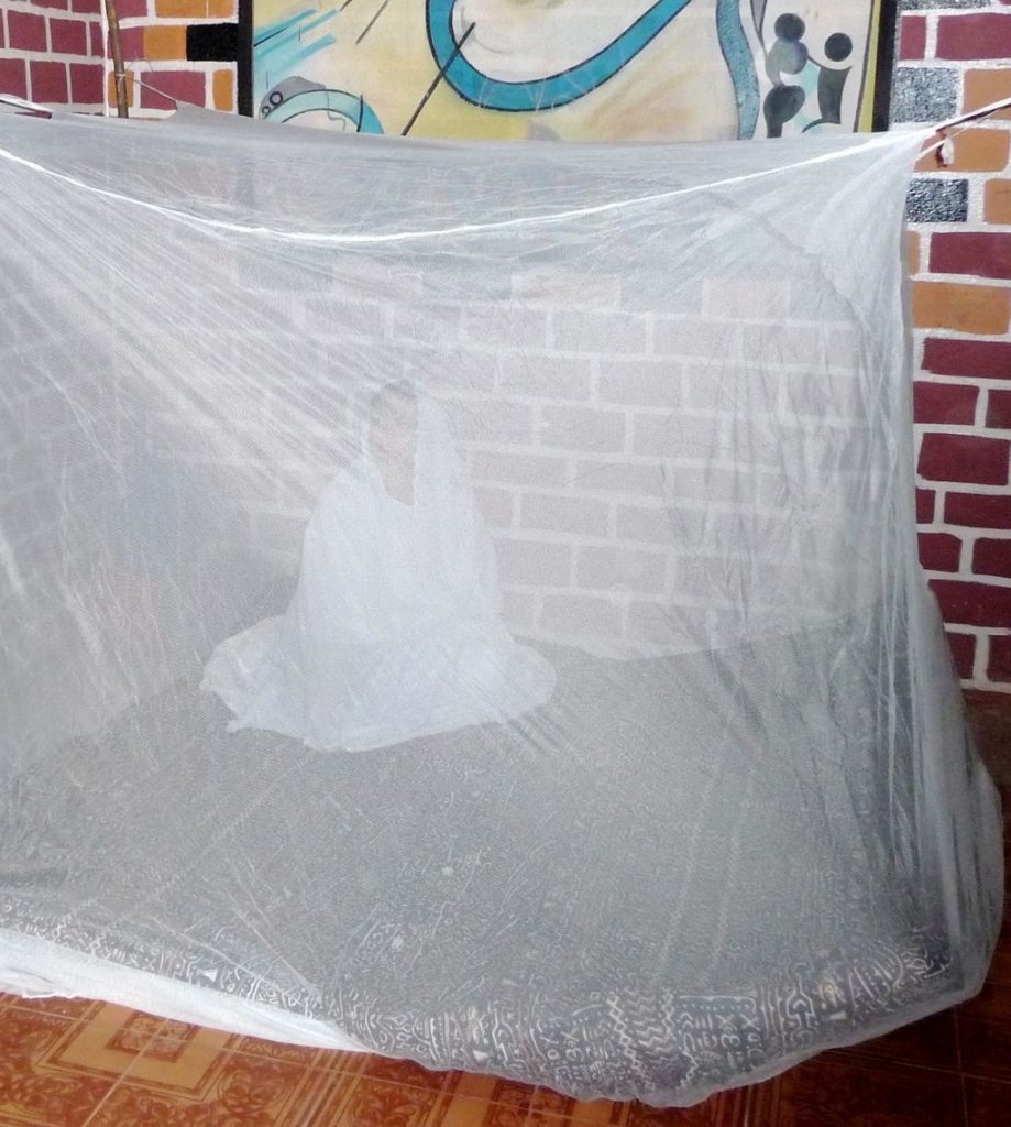 Kognonso, lit nuptial traditionnel d'Afrique de l'ouest - polygamie et sexualité