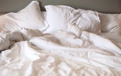 Polygamie et sexualité