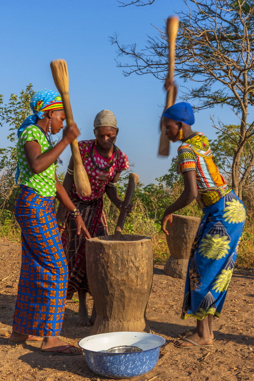 L'entente entre épouses favorise l'éduction en polygamie, face aux fratries et clans