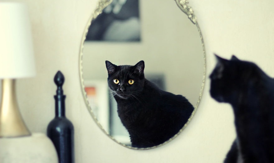 Plaire à ces dames…