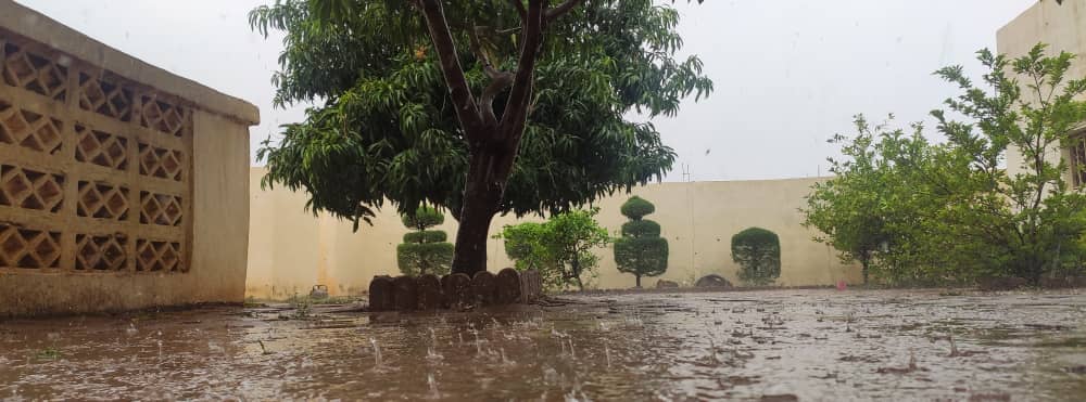 La Saison des pluies !