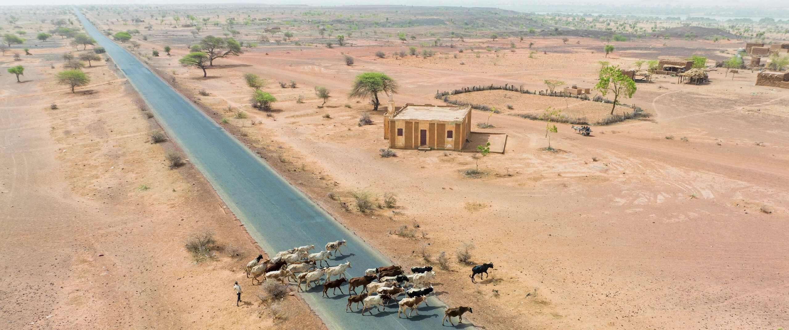 Région du Sahel : Analyses, Décryptage de l'actualité. Photo : Delfosse.